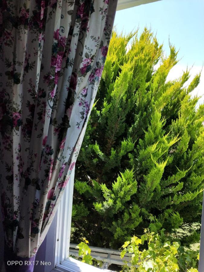 Maviev Otel Çeşme Buitenkant foto